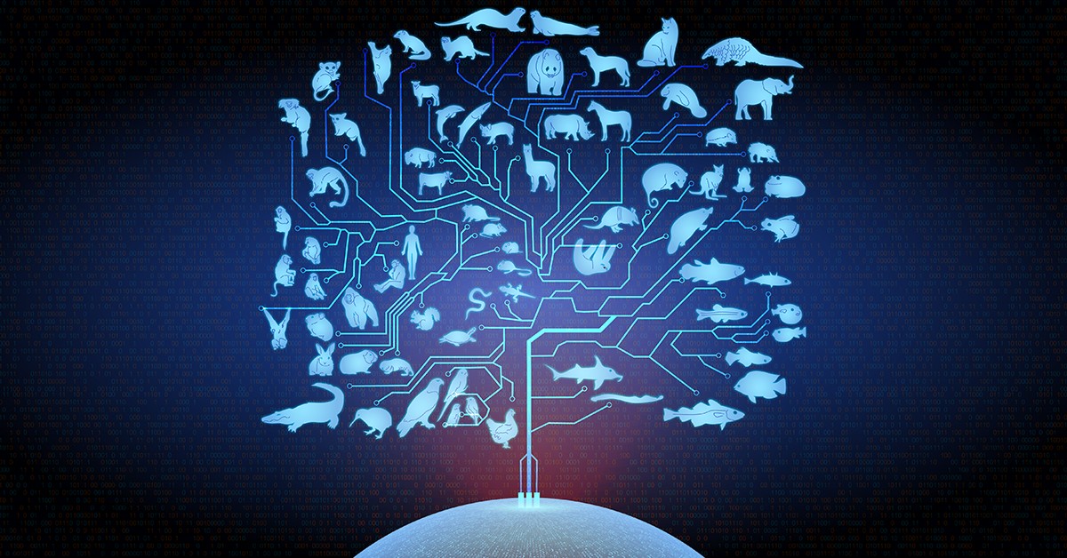 A fully automated tool for species tree inference